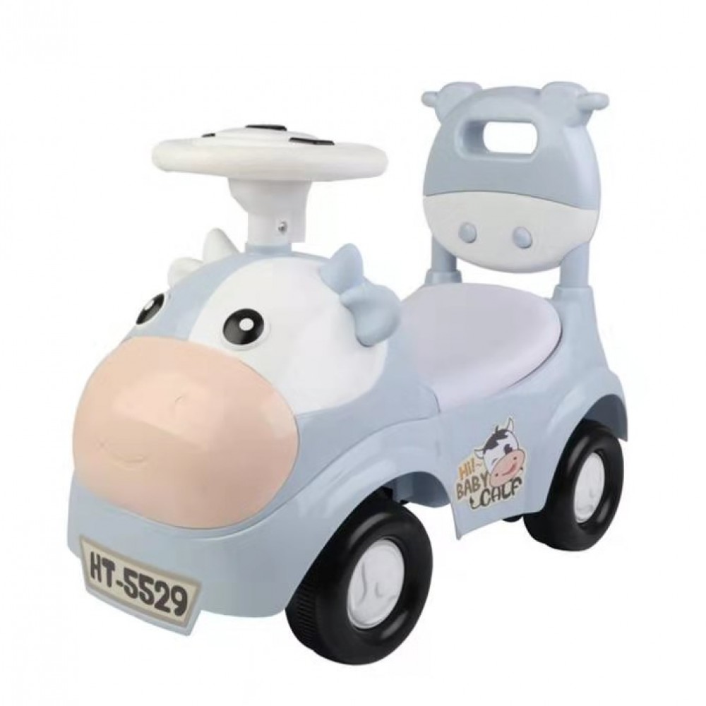 Push Car for Baby